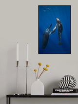 Sperm whale family Poster och Canvastavla
