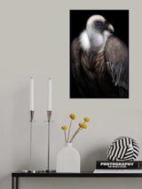My best profile Poster och Canvastavla
