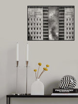 Migration Poster och Canvastavla