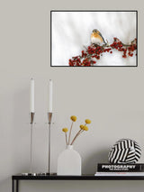 Eastern Bluebird Poster och Canvastavla
