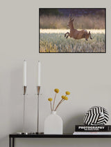 Deers flying over the cornfield Poster och Canvastavla