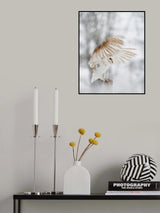 White angel Poster och Canvastavla