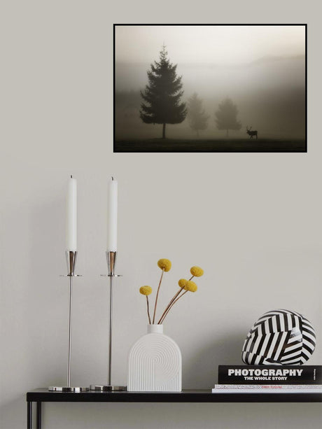 Looking for Love Poster och Canvastavla