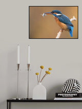 The Queenfisher! Poster och Canvastavla