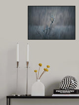 The Stare Poster och Canvastavla