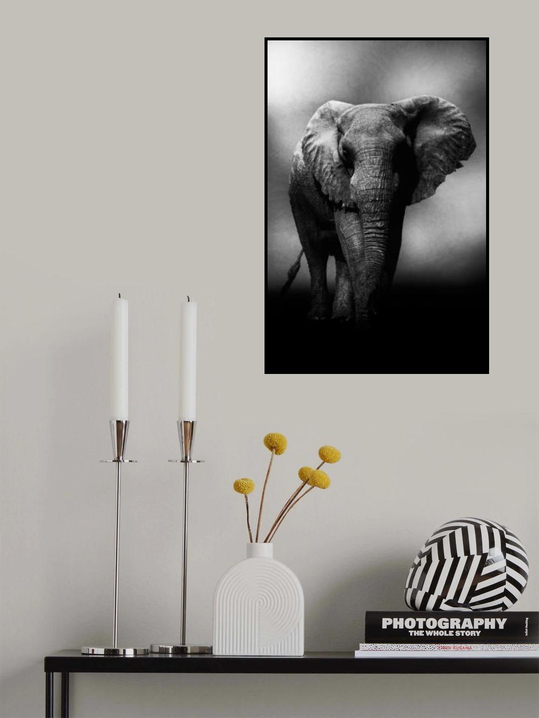 Poster och Canvastavla