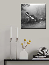 Where is my hat? Poster och Canvastavla
