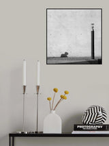 Mr. X Poster och Canvastavla