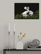 Fight For ... Poster och Canvastavla