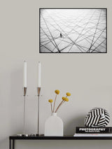 Poster och Canvastavla