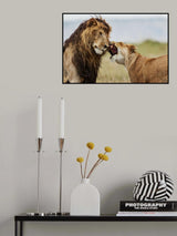 It happens in the best families!!! 3 Poster och Canvastavla