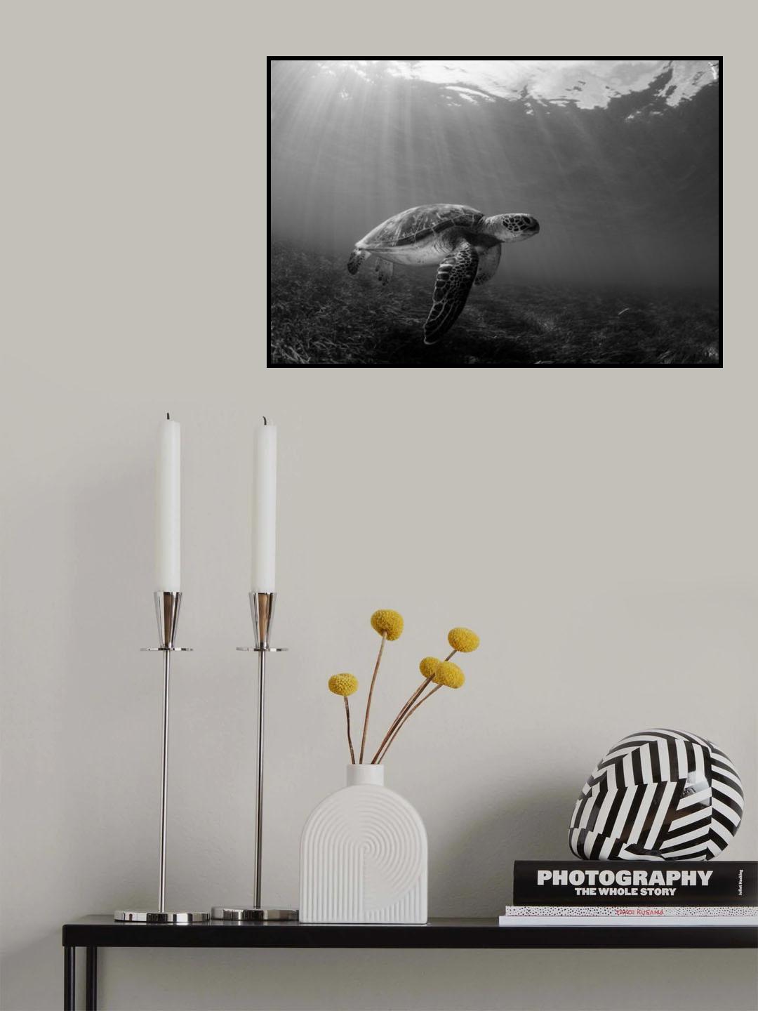 Serenity Poster och Canvastavla
