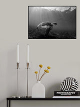 Serenity Poster och Canvastavla