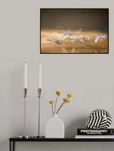 Overflight Poster och Canvastavla