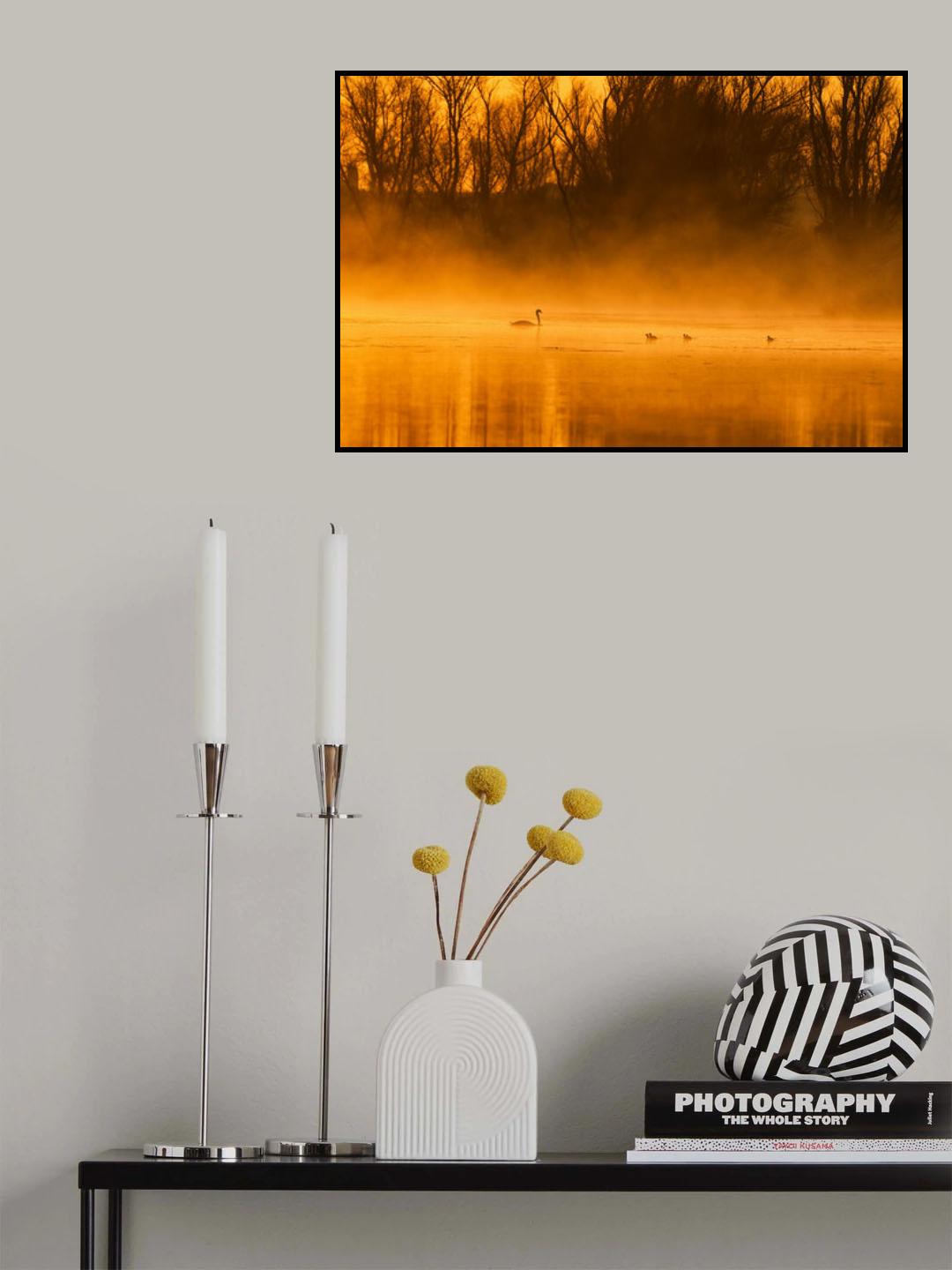 Golden Swan Lake Poster och Canvastavla