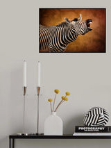 LOVE IS IN THE AIR! Poster och Canvastavla