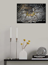 The Astro Gate Keeper Poster och Canvastavla