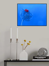 My beautiful blue planet... Poster och Canvastavla