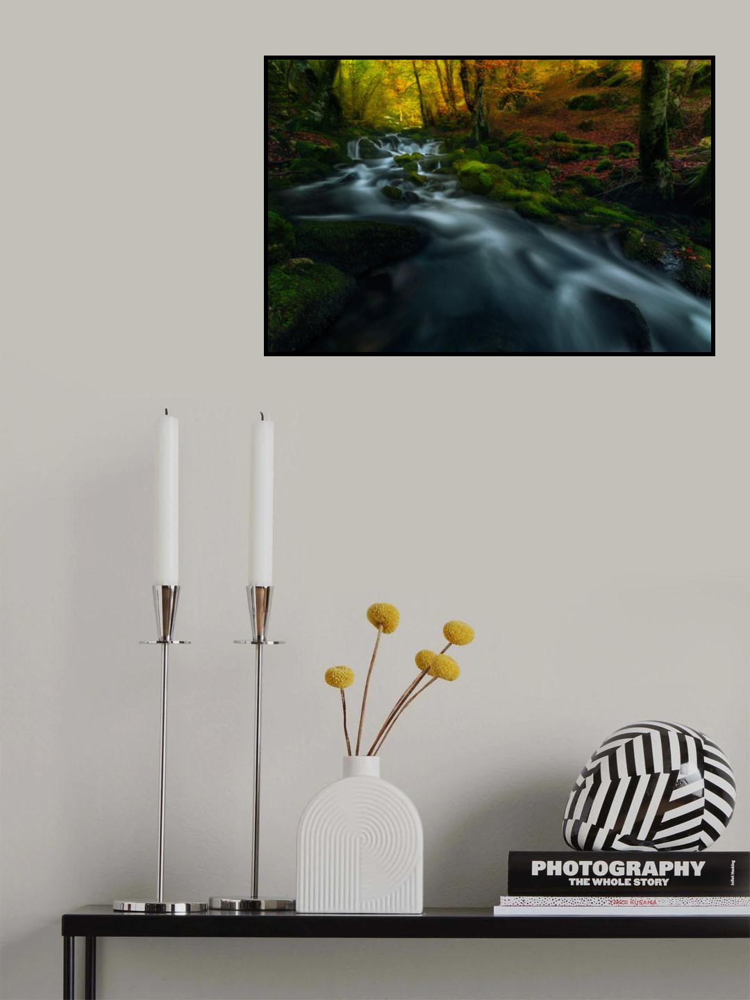 past seasons Poster och Canvastavla