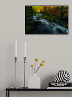 past seasons Poster och Canvastavla
