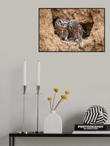Love is in the air Poster och Canvastavla
