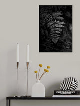 Silver Fern Poster och Canvastavla