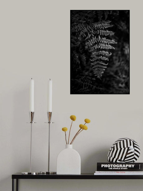 Silver Fern Poster och Canvastavla