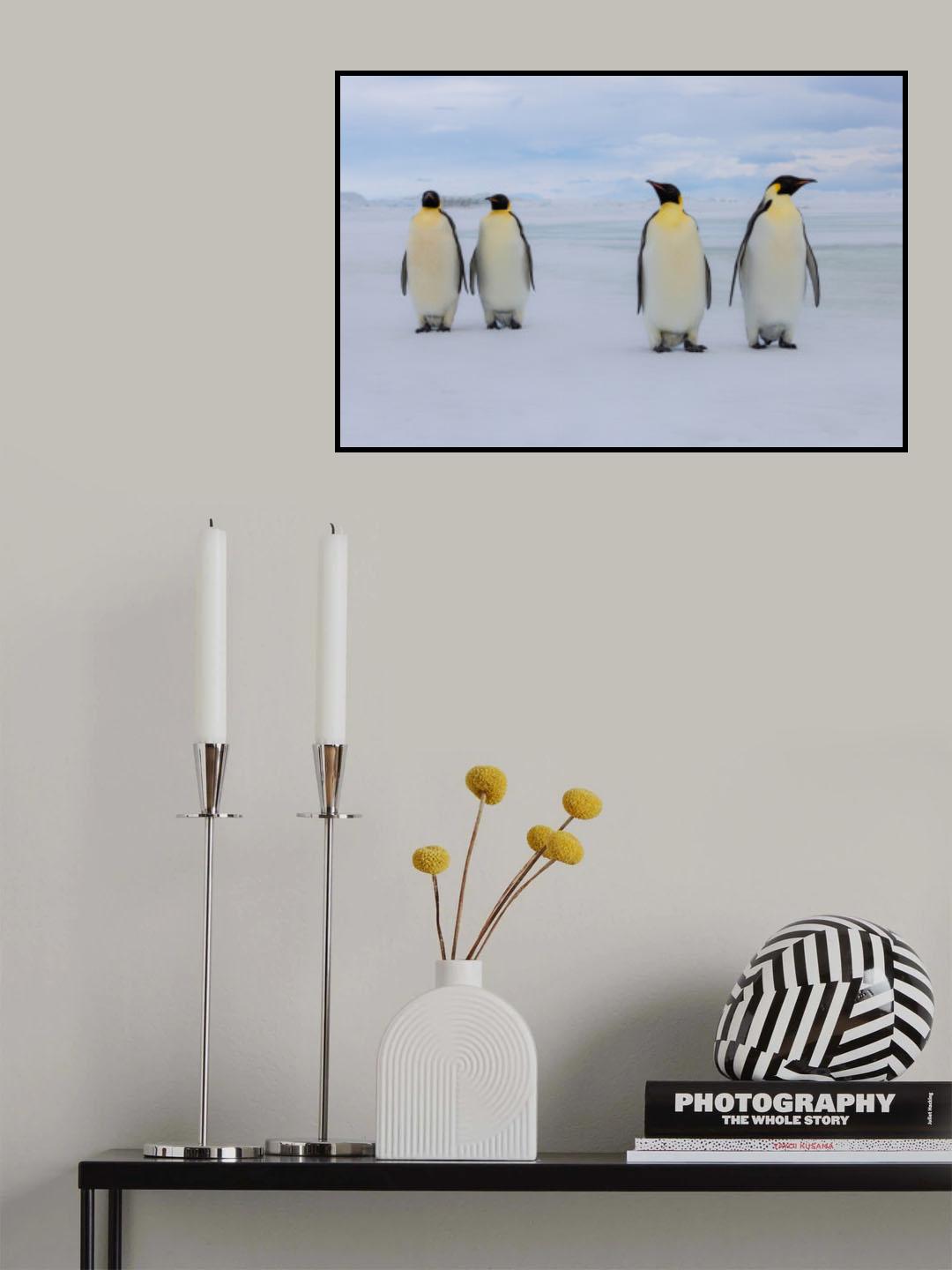 two pairs Poster och Canvastavla
