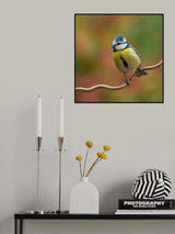 Softly calling! Poster och Canvastavla