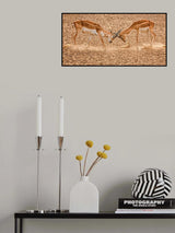 Rut Fighters Poster och Canvastavla
