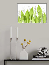 Lily of the valley Poster och Canvastavla