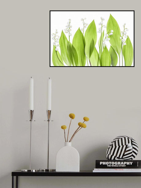 Lily of the valley Poster och Canvastavla