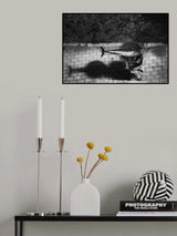 Oceans Apart Poster och Canvastavla