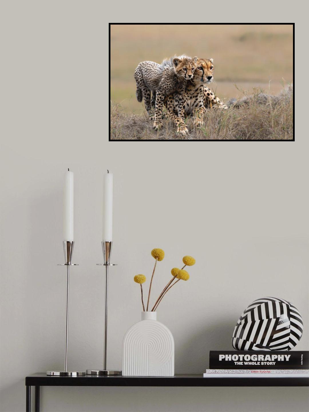 Looking  at  the distant together Poster och Canvastavla