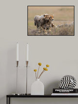 Looking  at  the distant together Poster och Canvastavla