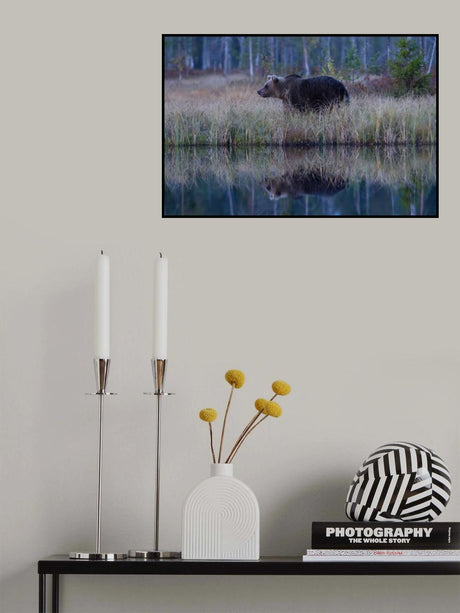 Brown Bear reflection Poster och Canvastavla