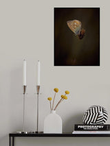 Evening Light Poster och Canvastavla