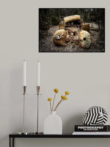 lost Poster och Canvastavla