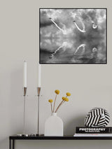 Three Steel Bird Poster och Canvastavla