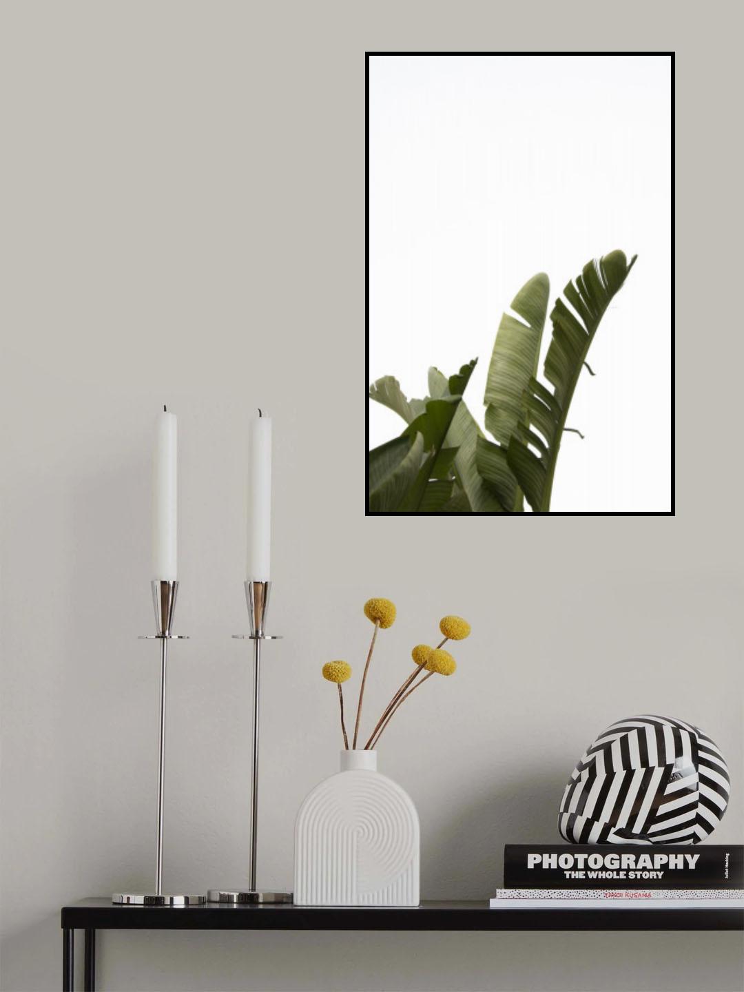 Travellers Palm Leaves Foliage Photo 07 Poster och Canvastavla