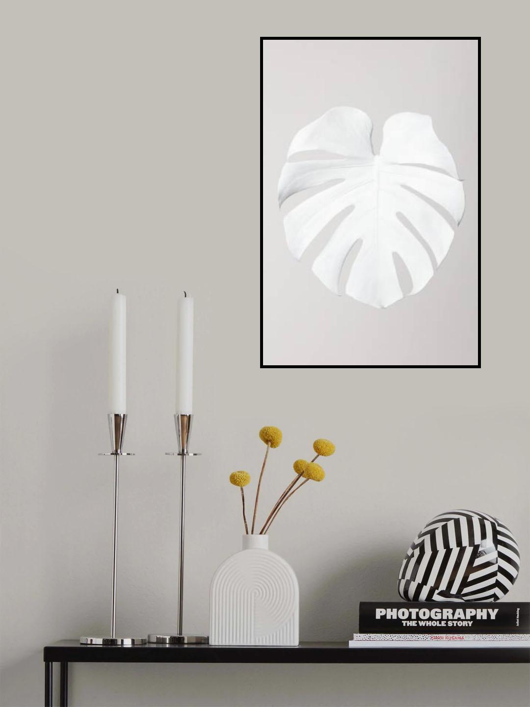 Monstera White 03 Poster och Canvastavla