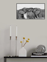Elephant Playing Poster och Canvastavla