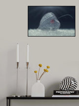 ... Poster och Canvastavla