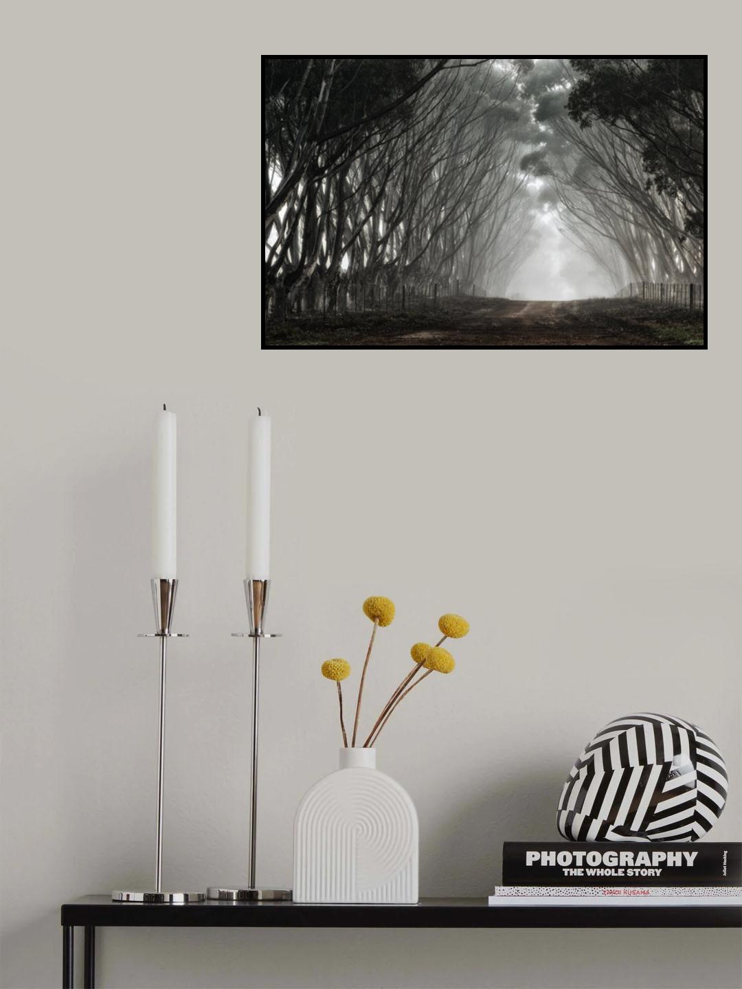 On the other side of Narnia's door... Poster och Canvastavla