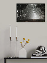 On the other side of Narnia's door... Poster och Canvastavla