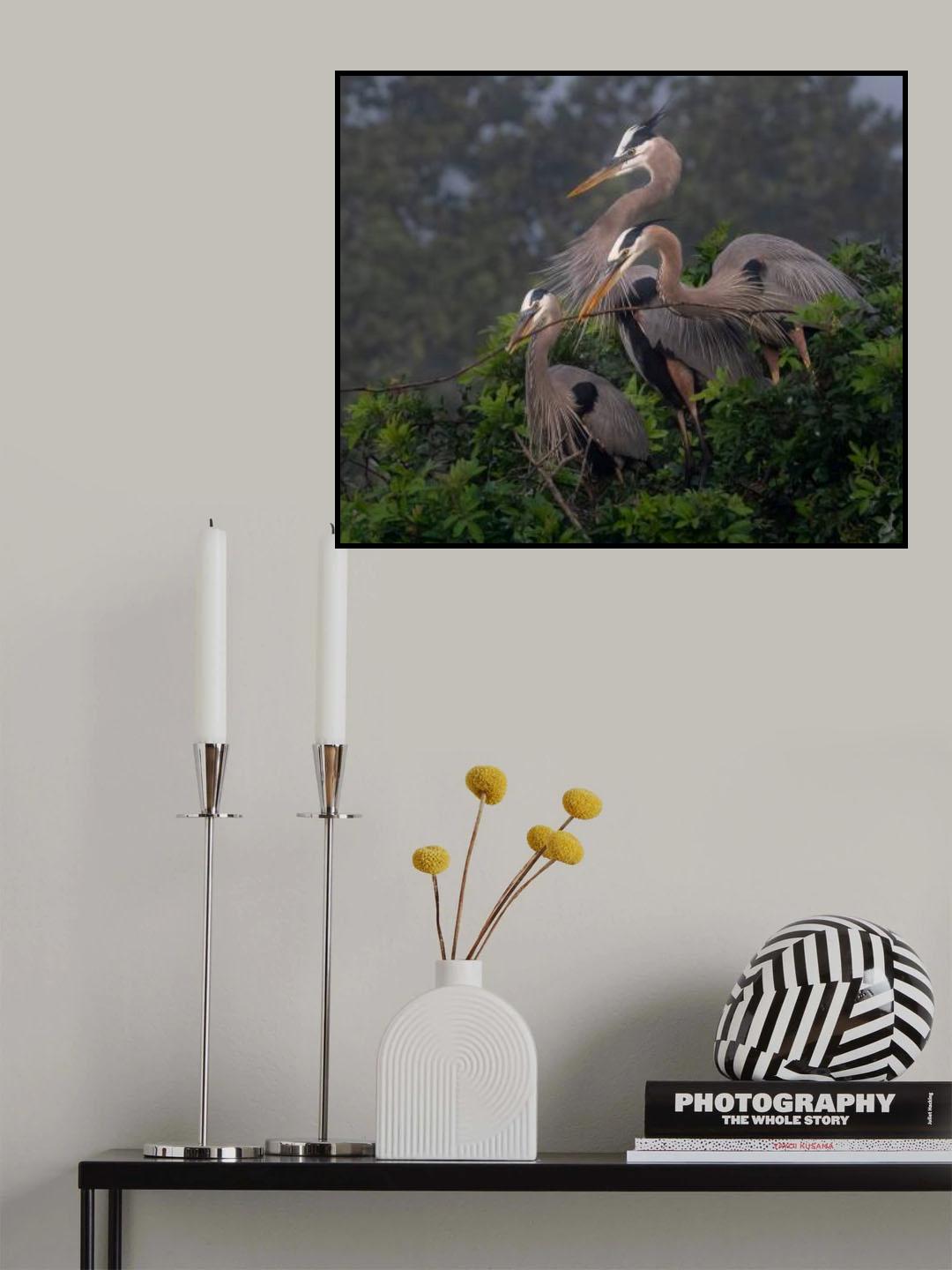 BUILDING THE NEST TOGETHER Poster och Canvastavla