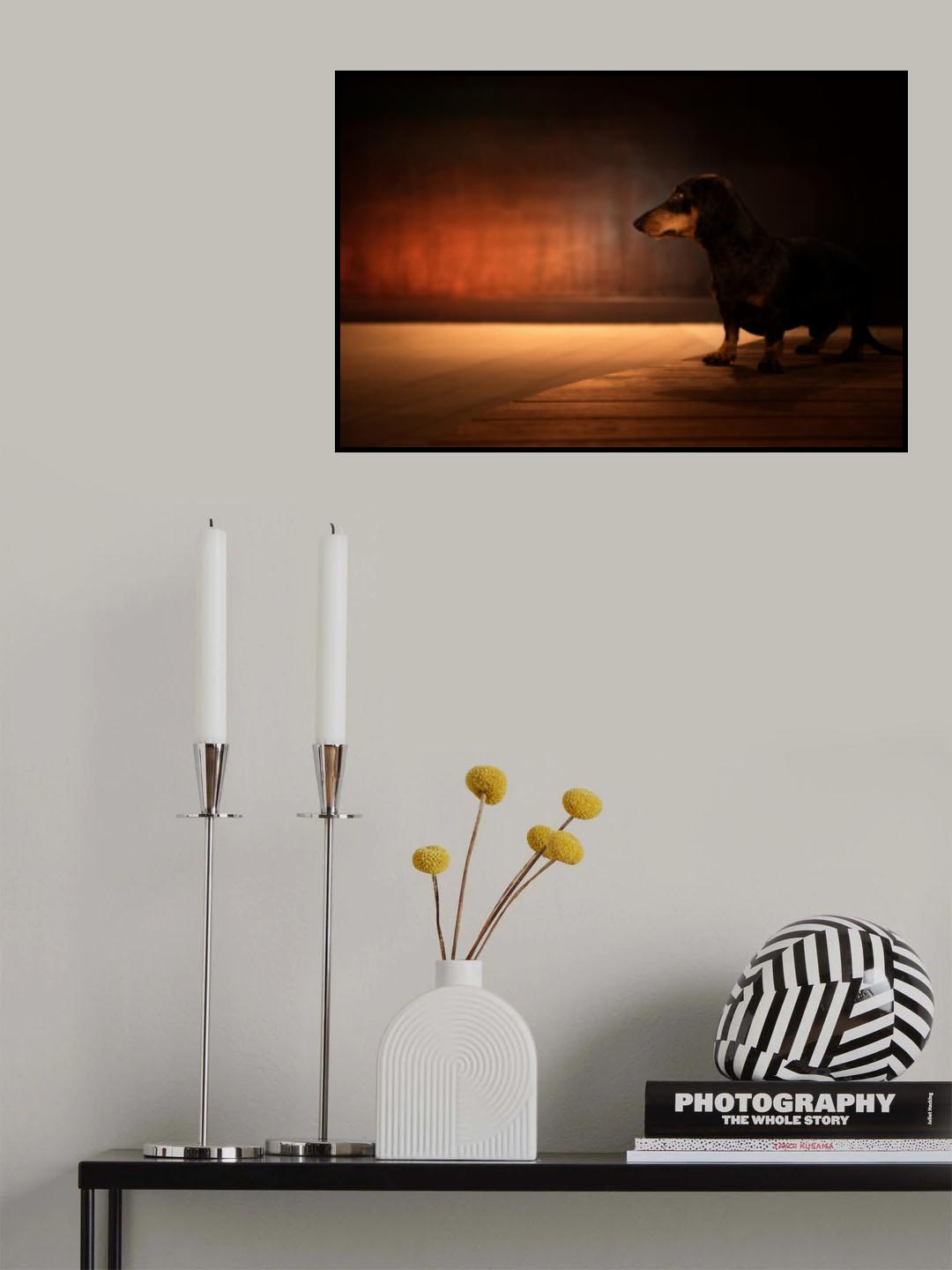 Put On The Red Light Poster och Canvastavla