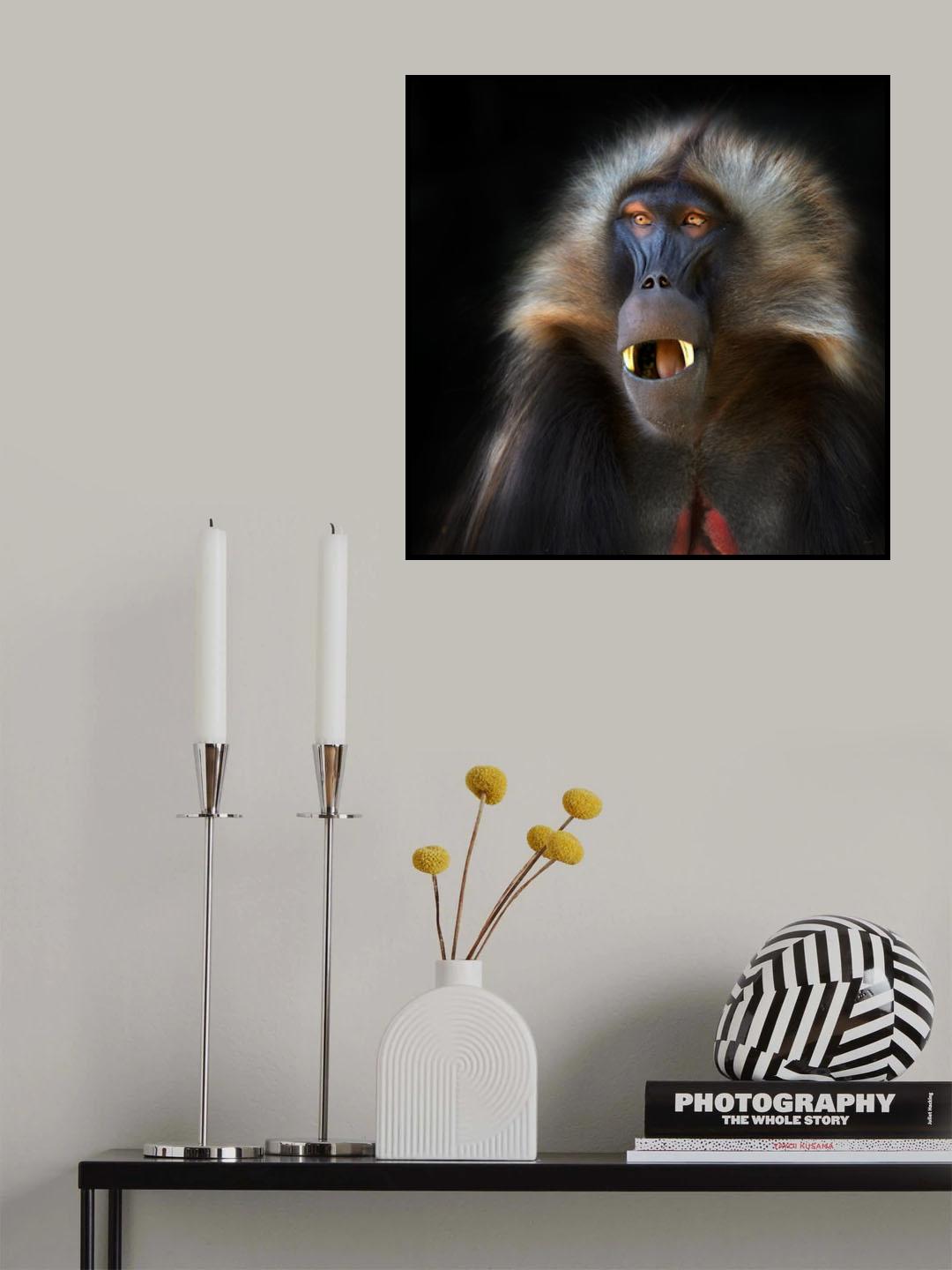 Geleda portrait Poster och Canvastavla