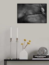 life... Poster och Canvastavla