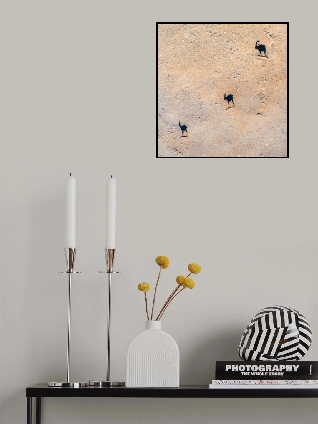 Shadow family Poster och Canvastavla